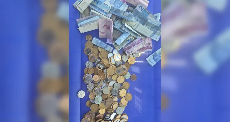 Menina comove membros da SOS Bichos ao doar R$ 220 guardados em 'cofrinho'