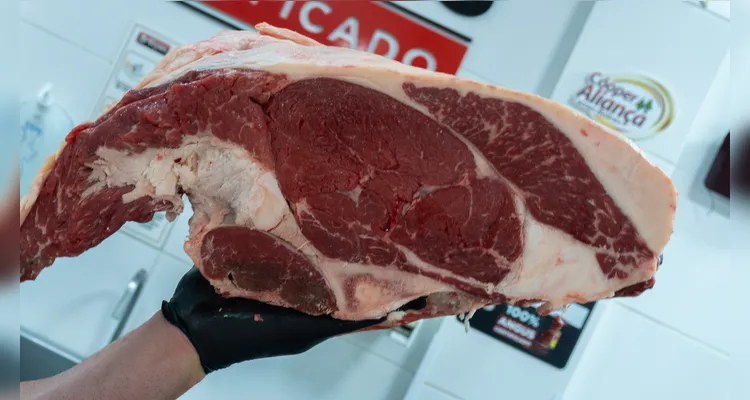 Espaço conta com inúmeros cortes