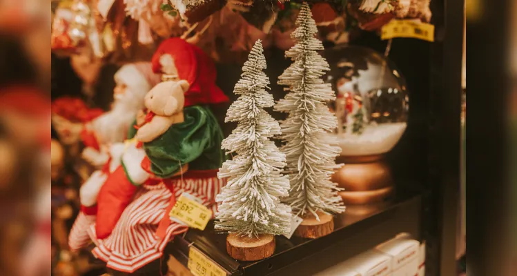 Ultrapack abre neste domingo com ofertas exclusivas e desconto em itens natalinos