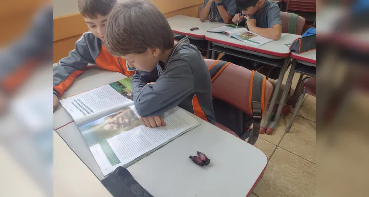 As ações auxiliaram a turma a se aprofundar na cultura local.