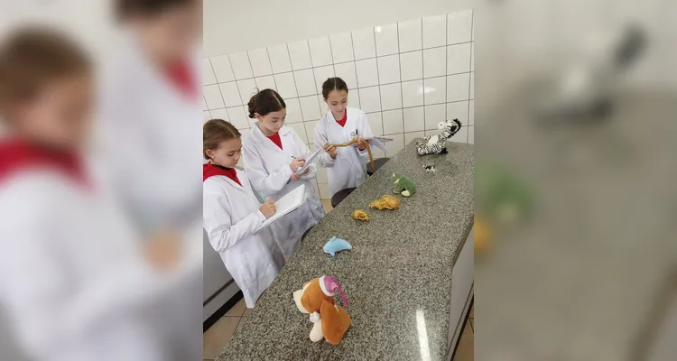 A experiência entusiasmou os alunos e tornou o aprendizado mais prazeroso e leve.