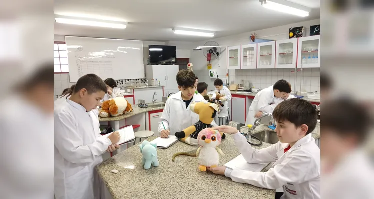 A experiência entusiasmou os alunos e tornou o aprendizado mais prazeroso e leve.