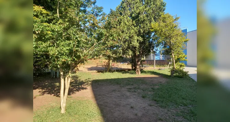 A proposta foi transformadora e envolveu todos os setores da comunidade escolar.