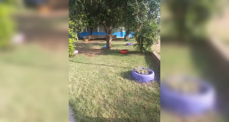 A proposta foi transformadora e envolveu todos os setores da comunidade escolar.