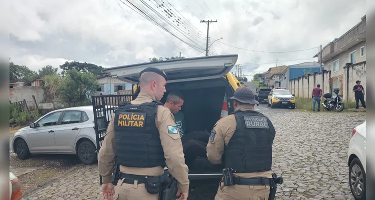 Confira registros do local onde houve tentativa de homicídio em PG