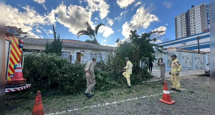 Árvores caem para fora de imóvel após rajadas de vento em Ponta Grossa