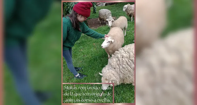 Como atividade de casa, cada aluno pode escolher entre realizar uma foto legenda ou gravar um vídeo destacando um produto da agricultura ou pecuária.