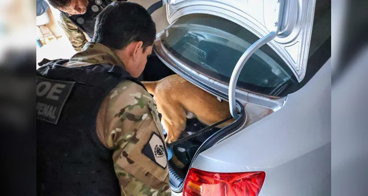 Polícias do Paraná cumprem 109 mandados em cinco estados contra organização criminosa