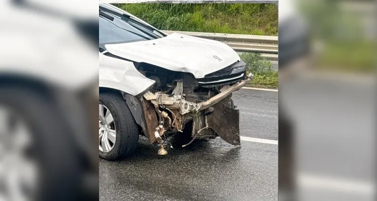 Rainha da München sofre acidente de carro na BR-376, em Tibagi
