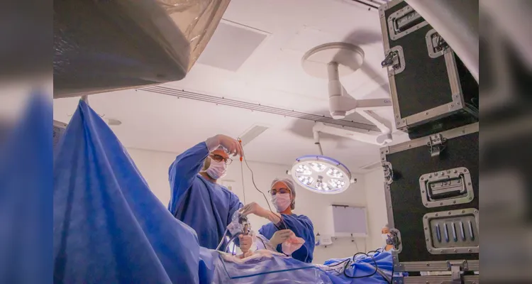 HU-UEPG realiza cirurgias inéditas de endoscopia de coluna pelo SUS