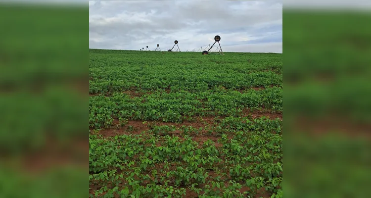 Após temporais no PR, Sistema FAEP orienta procedimentos para minimizar estragos