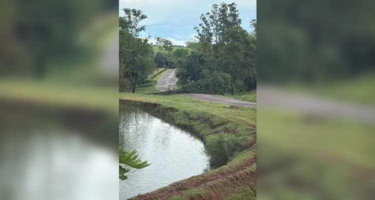 Após temporais no PR, Sistema FAEP orienta procedimentos para minimizar estragos