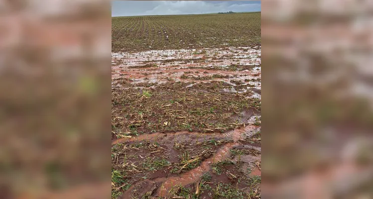 Após temporais no PR, Sistema FAEP orienta procedimentos para minimizar estragos