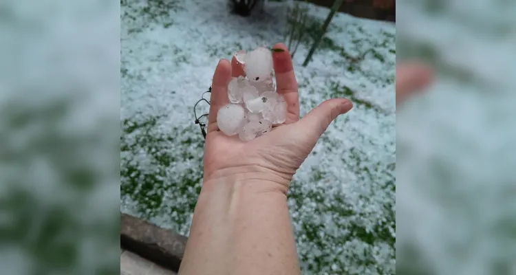 Confira registros da tempestade encaminhados ao Portal aRede.