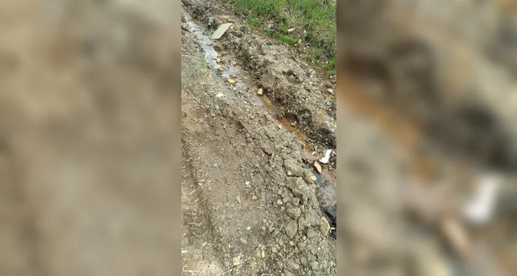 Investimentos em pavimentação do Buraco do Padre e Alagados chegam a R$ 40 milhões