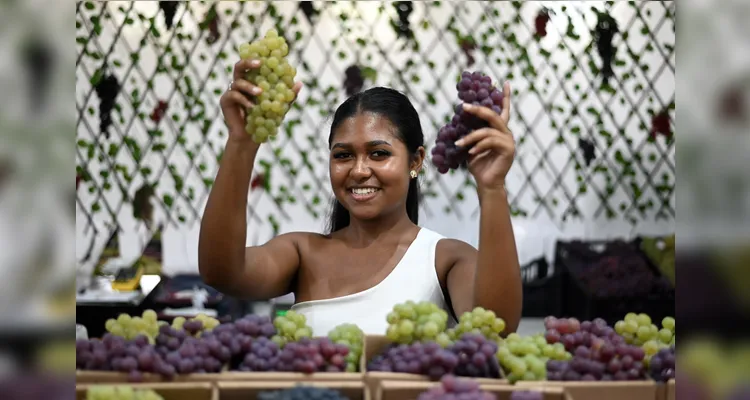 Agora no Centro de Eventos, evento celebra produção da uva em Ponta Grossa e reúne cerca de 50 empreendedores