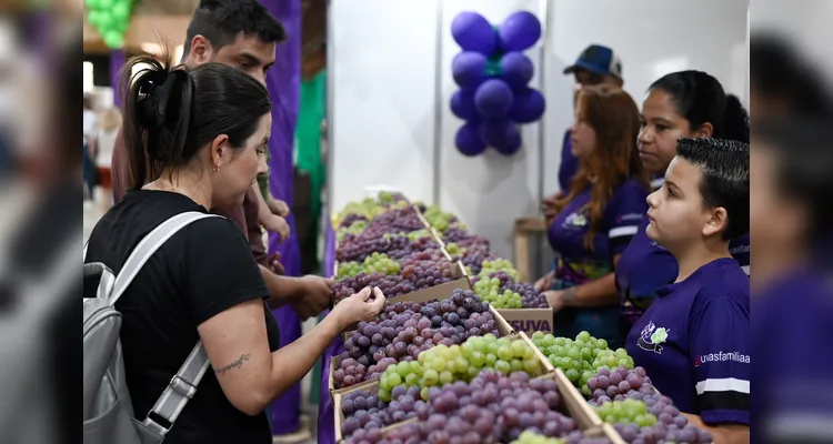 Agora no Centro de Eventos, evento celebra produção da uva em Ponta Grossa e reúne cerca de 50 empreendedores