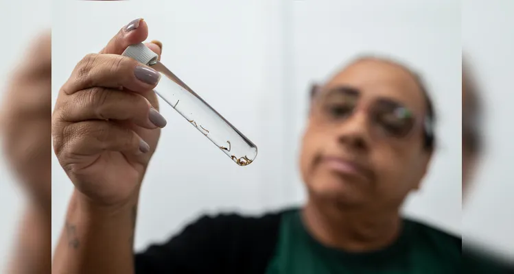 Análise de mosquitos, larvas e ovos do mosquito da dengue, na central de Zoonoses