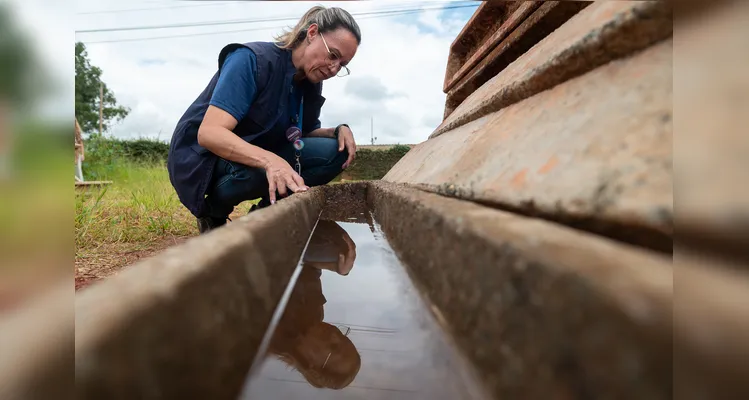 Agentes de saúde vistoriam terrenos com foco de larvas do mosquito da dengue