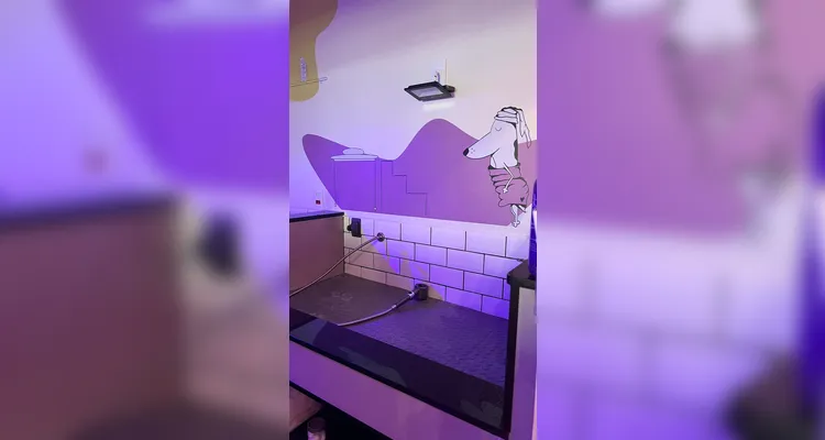 Espaço foi elaborado pensando no bem-estar animal