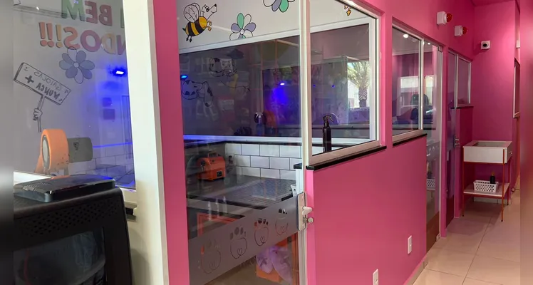 Espaço foi elaborado pensando no bem-estar animal