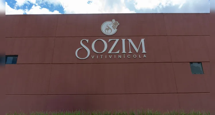 Vitivinícola Sozim é a maior produtora de uvas da região
