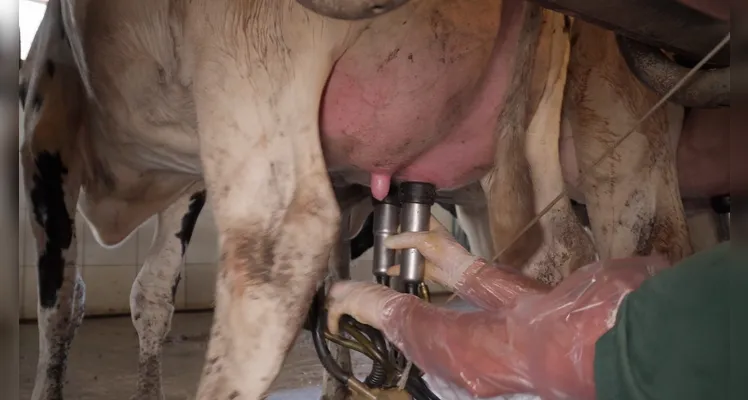 Sala de ordenha tem capacidade de atender 40 animais por vez