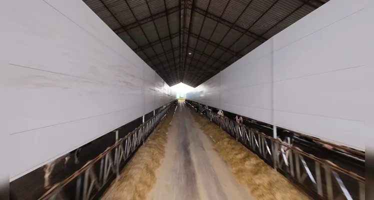 Propriedade preza pelo bem-estar animal