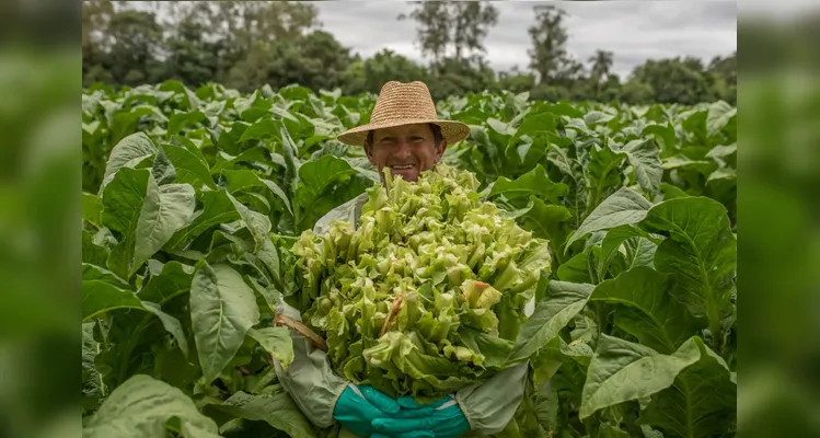 Projeto irá abranger as mais diversas áreas do agronegócio