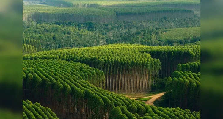 Projeto irá abranger as mais diversas áreas do agronegócio