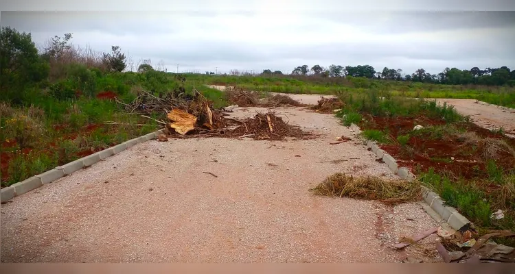 Residencial abandonado vira lixão a céu aberto em Ponta Grossa