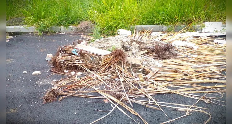 Residencial abandonado vira lixão a céu aberto em Ponta Grossa