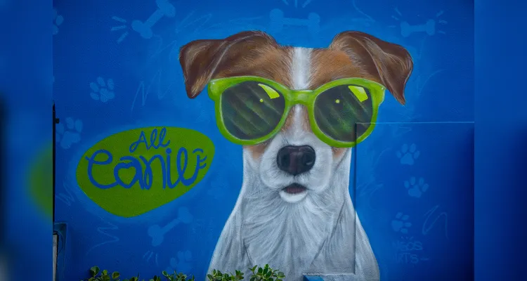 Nova loja está instalada em uma moderna e ampla estrutura