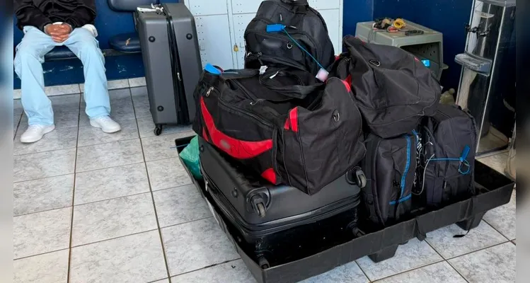 Receita Federal realiza ações e retém drogas avaliadas em mais de R$ 800 mil no PR