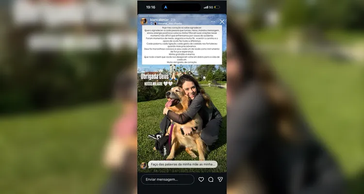 Motorista de Ponta Grossa e cachorro sobrevivem a grave acidente em Reserva