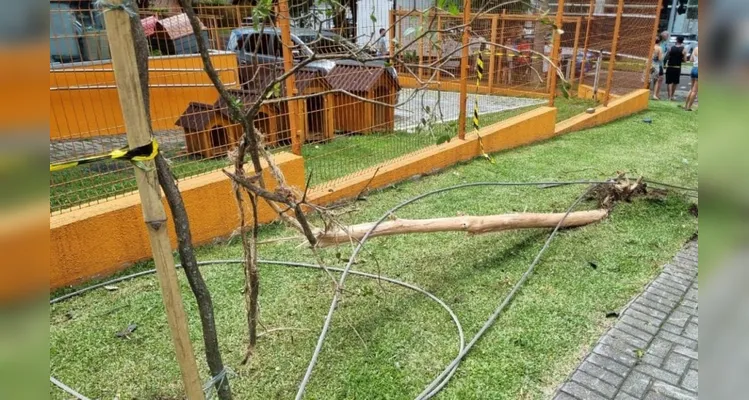 Suposto racha termina com carros destruídos e motociclista ferido em via rápida de Curitiba