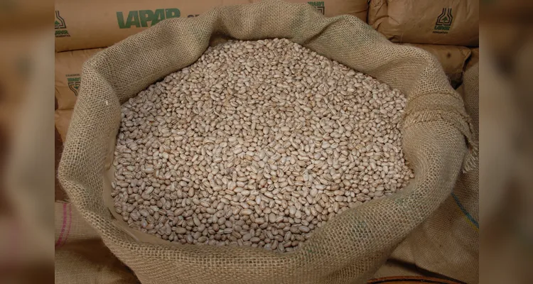 Projeto irá abranger as mais diversas áreas do agronegócio