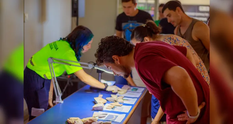 Novo acervo com 2.600 fósseis fortalece a UEPG como referência na paleontologia