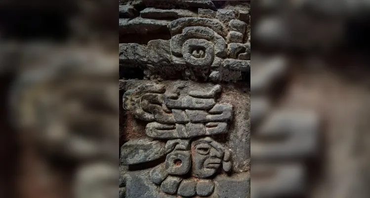 Tumba zapoteca de 1400 anos com 'coruja gigante' é descoberta no México; veja fotos