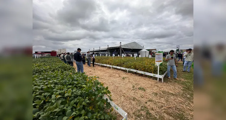 Evento é realizado anualmente na Estação Experimental em Ponta Grossa