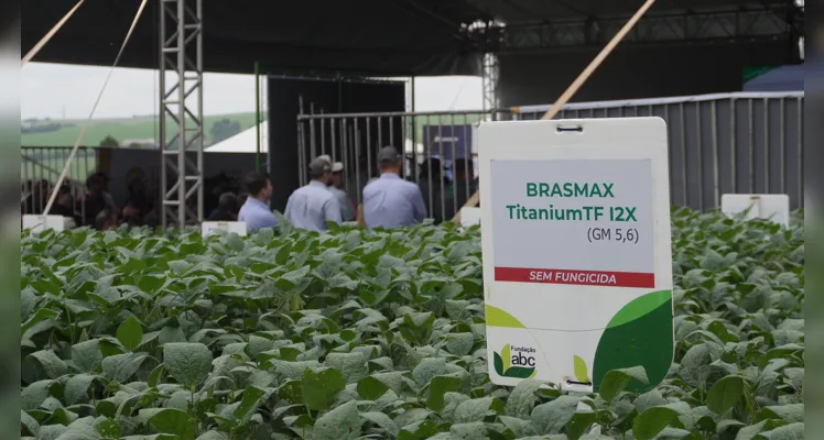 Evento é realizado anualmente na Estação Experimental em Ponta Grossa