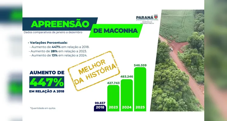 Forças policiais do Paraná apreenderam 1,5 tonelada de drogas por dia em 2025