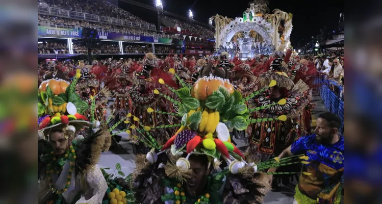 Tuiuti teve destaque no samba-enredo e na bateria