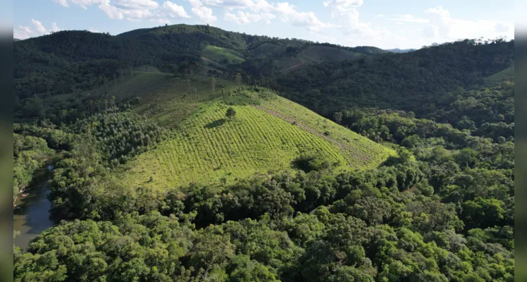 A UC Monos de Castro se enquadra na categoria de áreas protegidas que permitem o uso dos recursos naturais de forma regulada.