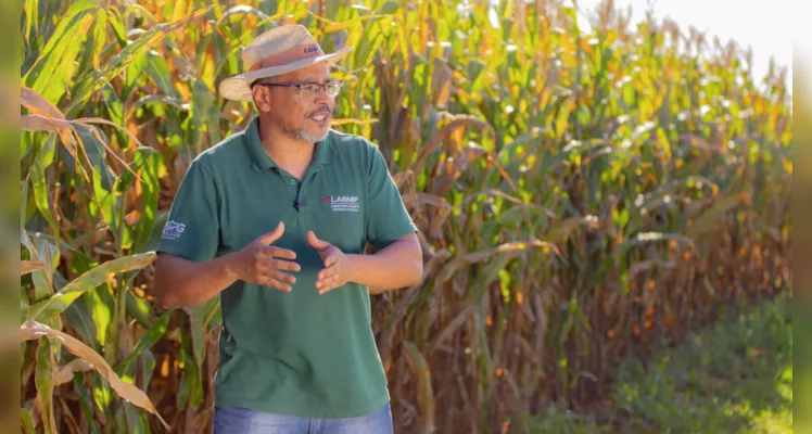 Novas tecnologias na agricultura e as pesquisas também são abordadas nas reportagens