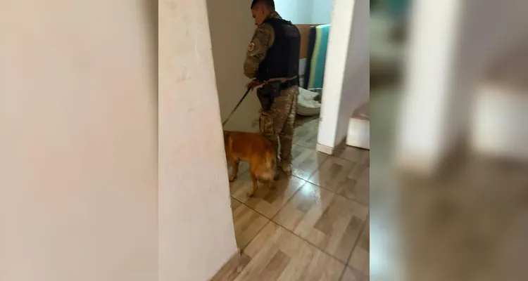 Criança de nove anos é baleada dentro de casa e caso é investigado em Sarandi