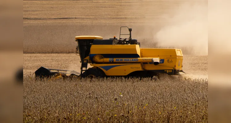 Colheita de soja alcança o pico na região