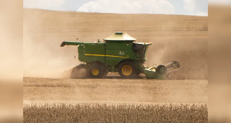 Colheita de soja alcança o pico na região