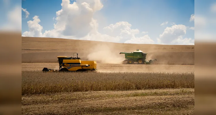 Colheita de soja alcança o pico na região