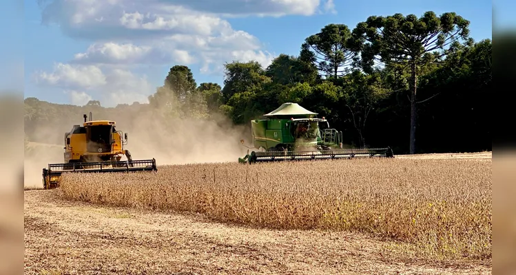 Colheita de soja alcança o pico na região